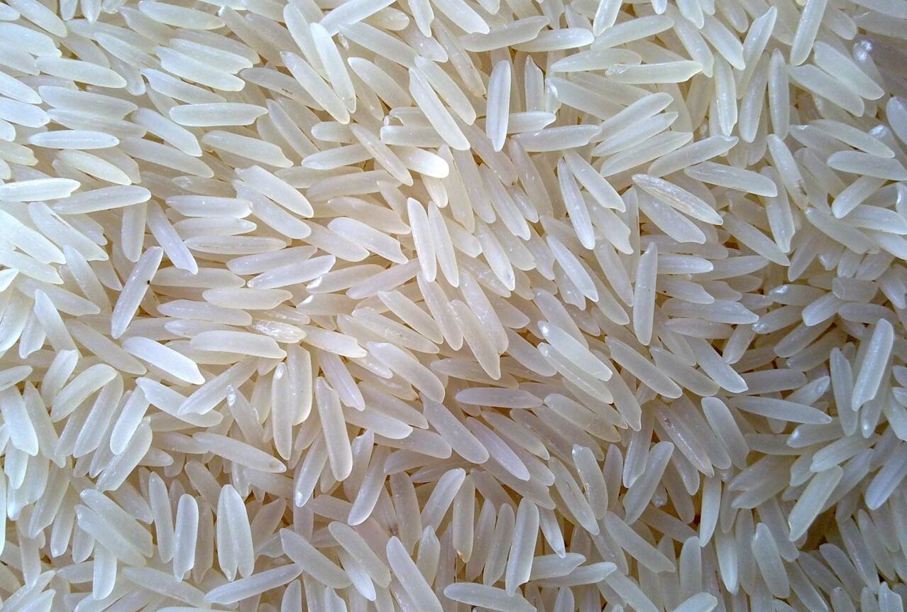 Rice